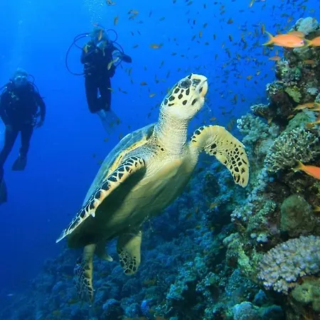 Amphitrite's Haven - Cycladic House In Marpissa, Paros Márpissa